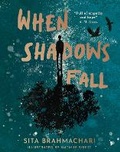 Cover: When Shadows Fall - Little Tiger