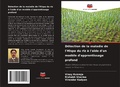 Cover: D&eacute;tection de la maladie de l'Hispa du riz &agrave; l'aide d'un mod&egrave;le d'apprentissage profond - Editions Notre Savoir