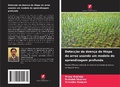 Cover: Detec&ccedil;&atilde;o da doen&ccedil;a de Hispa do arroz usando um modelo de aprendizagem profunda - Edi&ccedil;&otilde;es Nosso Conhecimento