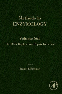 Abbildung von: The DNA Replication-Repair Interface - Academic Press