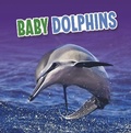 Cover: Baby Dolphins - Raintree