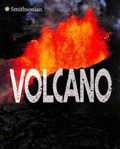 Cover: Volcano - Raintree