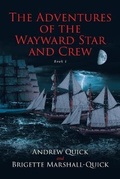 Cover: The Adventures of the Wayward Star and Crew - Newman Springs Publishing, Inc.