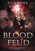 Cover: Blood Feud - Cj Cooke