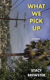 Abbildung von: What We Pick Up - Distributed By Ingram Spark