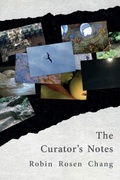 Cover: The Curator's Notes - Terrapin Books