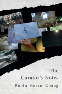 Enlarge image Cover: The Curator's Notes - Terrapin Books