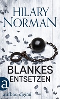 Cover: Blankes Entsetzen - Aufbau