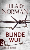 Cover: Blinde Wut - Aufbau