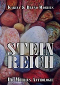 Cover: Steinreich - Feiyr