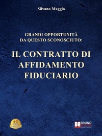 Abbildung von: Grandi Opportunità Da Questo Sconosciuto - Bruno Editore