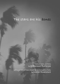 Abbildung von: The stars are his bones - Cross-Cultural Communications