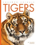 Cover: Tigers - Creative Paperbacks