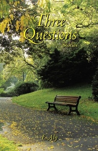 Abbildung von: Three Questions - Marshwinds Press Company