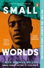Cover: Small Worlds - Penguin Books Ltd