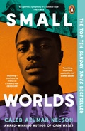 Cover: Small Worlds - Penguin Books Ltd