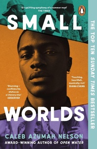 Abbildung von: Small Worlds - Penguin Books Ltd