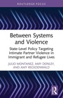 Cover: Between Systems and Violence - Routledge