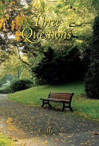 Enlarge image Cover: Three Questions - Marshwinds Press Company