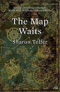 Enlarge image Cover: The Map Waits - Reflex Press