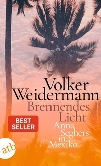 Abbildung von: Brennendes Licht - Aufbau Taschenbuch