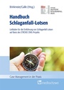 Cover: Handbuch Schlaganfall-Lotsen - medhochzwei Verlag