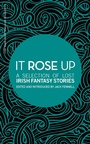 Cover: It Rose Up - Tramp Press