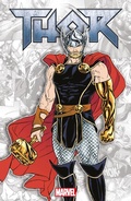 Cover: Thor - Panini Verlags GmbH