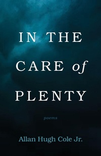 Enlarge image Cover: In the Care of Plenty - Resource Publications (CA)