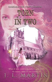 Enlarge image Cover: Torn in Two - Time Travellers Publishing House Pty Ltd