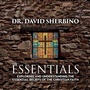 Cover: The Essentials - BayRidge Books