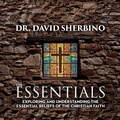 Cover: The Essentials - BayRidge Books