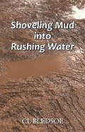 Cover: Shoveling Mud into Rushing Water - Cyberwit.net
