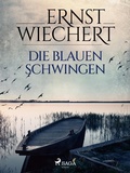 Cover: Die blauen Schwingen - Saga Egmont