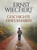 Cover: Geschichte eines Knaben - Saga Egmont