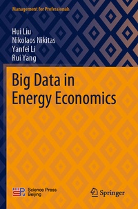 Enlarge image Cover: Big Data in Energy Economics - Springer