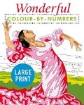 Cover: Wonderful Colour by Numbers Large Print - Arcturus