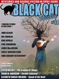 Cover: Black Cat Weekly #12 - Wildside Press