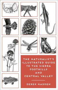 Abbildung von: The Naturalist's Illustrated Guide to the Sierra Foothills and Central Valley - Heyday