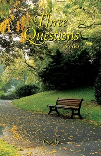 Enlarge image Cover: Three Questions - Marshwinds Press Company