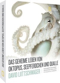 Abbildung von: Das geheime Leben von Oktopus, Seepferdchen und Qualle - National Geographic Deutschland