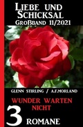 Cover: Wunder warten nicht: Liebe und Schicksal Gro&szlig;band 3 Romane 11/2021 - CassiopeiaPress