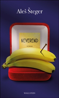 Enlarge image Cover: Neverend - Wallstein