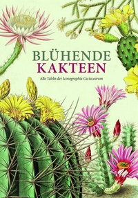 Abbildung von: Blühende Kakteen - Favoritenpresse GmbH