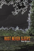 Cover: Rust Never Sleeps - Austin Macauley Publishers