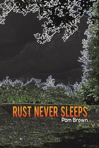 Enlarge image Cover: Rust Never Sleeps - Austin Macauley Publishers
