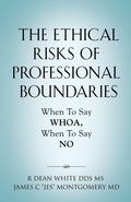 Cover: The Ethical Risks of Professional Boundaries - Booklocker.com