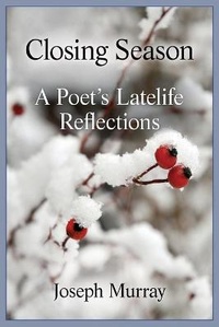 Enlarge image Cover: Closing Season - Joseph Murray