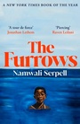 Cover: The Furrows - Vintage Digital