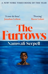 Enlarge image Cover: The Furrows - Vintage Digital